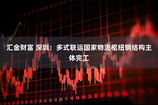 汇金财富 深圳：多式联运国家物流枢纽钢结构主体完工