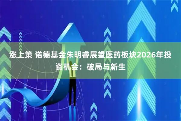 涨上策 诺德基金朱明睿展望医药板块2026年投资机会：破局与新生