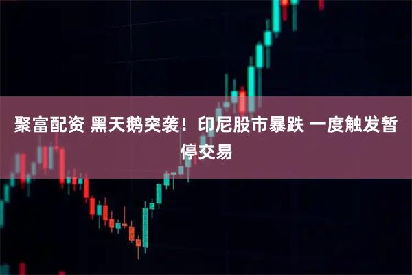 聚富配资 黑天鹅突袭！印尼股市暴跌 一度触发暂停交易